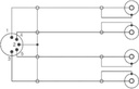 Raccord DIN male - 4xRCA males